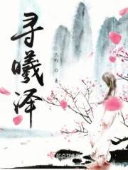 绝世护美兵王叶舟女主有几个
