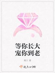 我在明朝当道士动画