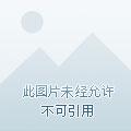 仙路傲视滴血